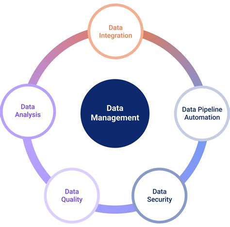 database management techniques.